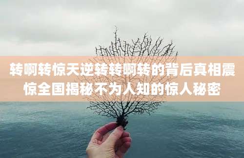 转啊转惊天逆转转啊转的背后真相震惊全国揭秘不为人知的惊人秘密