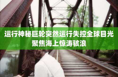 运行神秘巨轮突然运行失控全球目光聚焦海上惊涛骇浪