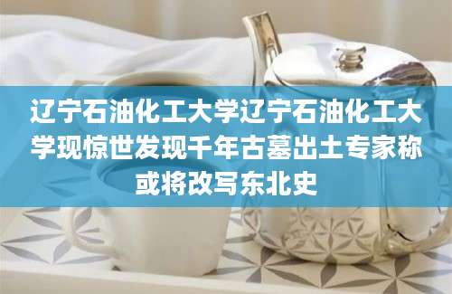 辽宁石油化工大学辽宁石油化工大学现惊世发现千年古墓出土专家称或将改写东北史