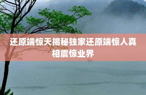 还原端惊天揭秘独家还原端惊人真相震惊业界