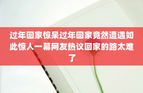 过年回家惊呆过年回家竟然遭遇如此惊人一幕网友热议回家的路太难了