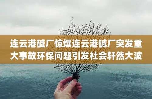 连云港碱厂惊爆连云港碱厂突发重大事故环保问题引发社会轩然大波