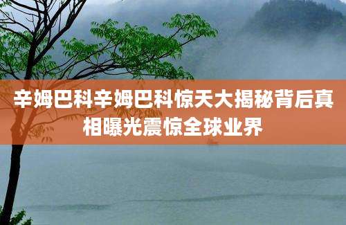 辛姆巴科辛姆巴科惊天大揭秘背后真相曝光震惊全球业界