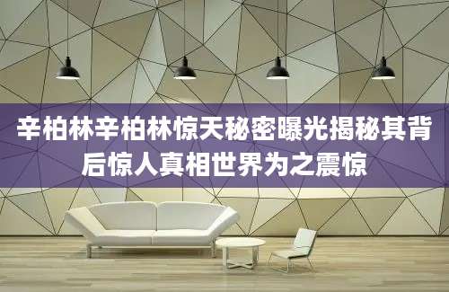 辛柏林辛柏林惊天秘密曝光揭秘其背后惊人真相世界为之震惊
