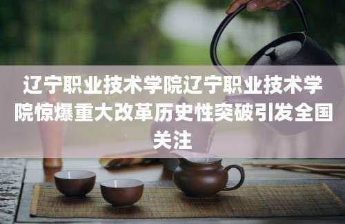 辽宁职业技术学院辽宁职业技术学院惊爆重大改革历史性突破引发全国关注