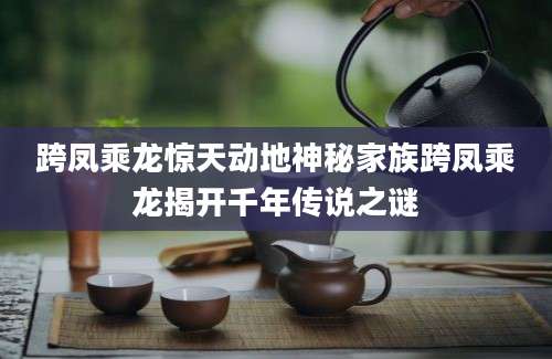 跨凤乘龙惊天动地神秘家族跨凤乘龙揭开千年传说之谜