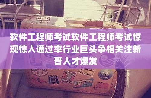 软件工程师考试软件工程师考试惊现惊人通过率行业巨头争相关注新晋人才爆发