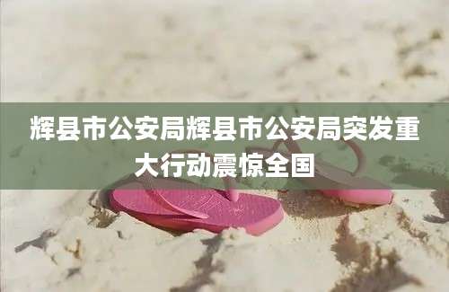 辉县市公安局辉县市公安局突发重大行动震惊全国