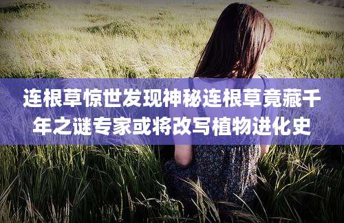 连根草惊世发现神秘连根草竟藏千年之谜专家或将改写植物进化史