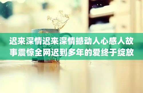 迟来深情迟来深情撼动人心感人故事震惊全网迟到多年的爱终于绽放