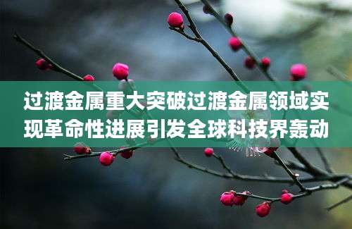 过渡金属重大突破过渡金属领域实现革命性进展引发全球科技界轰动