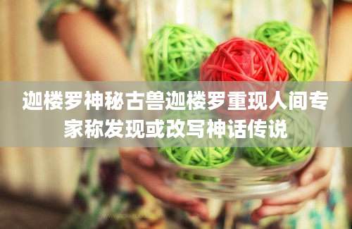 迦楼罗神秘古兽迦楼罗重现人间专家称发现或改写神话传说
