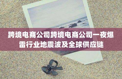 跨境电商公司跨境电商公司一夜爆雷行业地震波及全球供应链