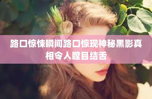 路口惊悚瞬间路口惊现神秘黑影真相令人瞠目结舌