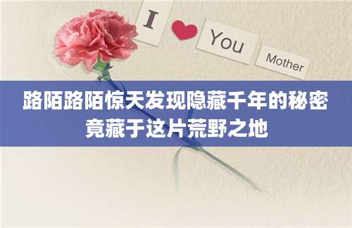 路陌路陌惊天发现隐藏千年的秘密竟藏于这片荒野之地