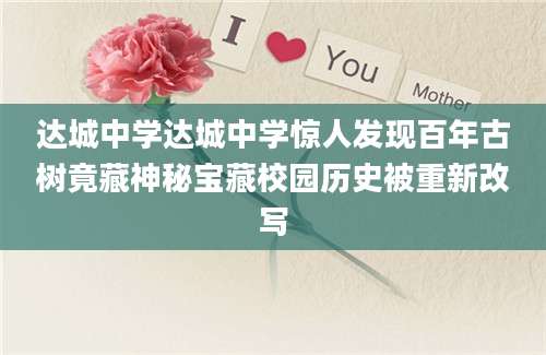 达城中学达城中学惊人发现百年古树竟藏神秘宝藏校园历史被重新改写