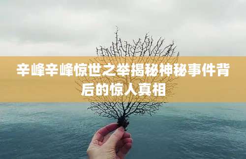 辛峰辛峰惊世之举揭秘神秘事件背后的惊人真相