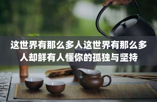 这世界有那么多人这世界有那么多人却鲜有人懂你的孤独与坚持