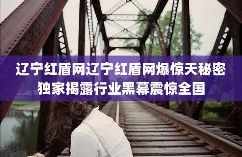 辽宁红盾网辽宁红盾网爆惊天秘密独家揭露行业黑幕震惊全国