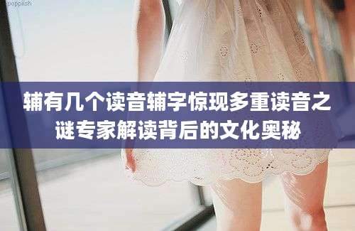 辅有几个读音辅字惊现多重读音之谜专家解读背后的文化奥秘