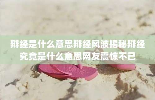 辩经是什么意思辩经风波揭秘辩经究竟是什么意思网友震惊不已