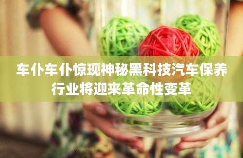 车仆车仆惊现神秘黑科技汽车保养行业将迎来革命性变革