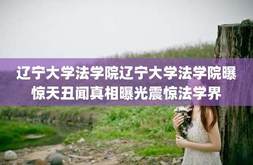辽宁大学法学院辽宁大学法学院曝惊天丑闻真相曝光震惊法学界