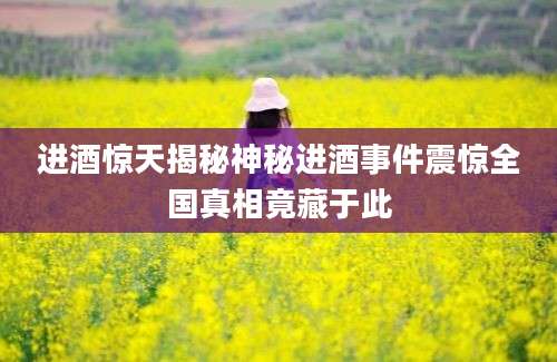 进酒惊天揭秘神秘进酒事件震惊全国真相竟藏于此