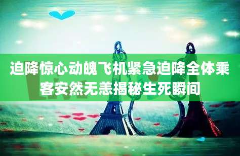 迫降惊心动魄飞机紧急迫降全体乘客安然无恙揭秘生死瞬间