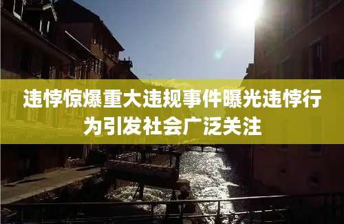 违悖惊爆重大违规事件曝光违悖行为引发社会广泛关注