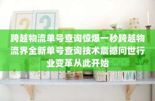 跨越物流单号查询惊爆一秒跨越物流界全新单号查询技术震撼问世行业变革从此开始