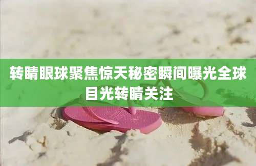 转睛眼球聚焦惊天秘密瞬间曝光全球目光转睛关注