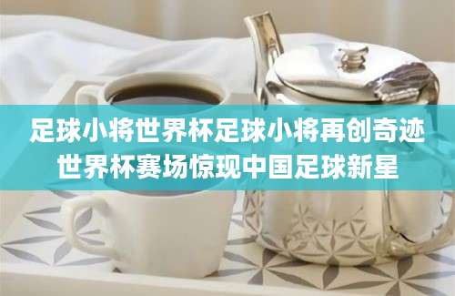 足球小将世界杯足球小将再创奇迹世界杯赛场惊现中国足球新星