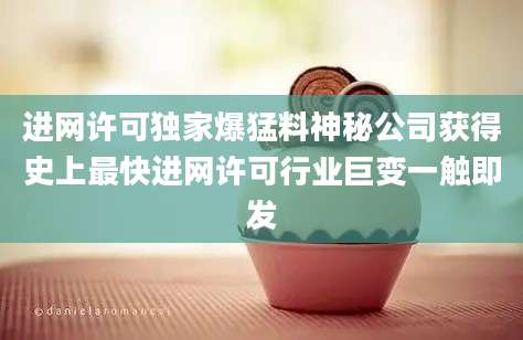 进网许可独家爆猛料神秘公司获得史上最快进网许可行业巨变一触即发