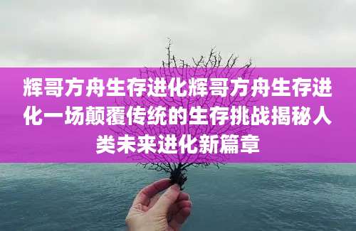 辉哥方舟生存进化辉哥方舟生存进化一场颠覆传统的生存挑战揭秘人类未来进化新篇章