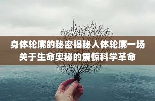 身体轮廓的秘密揭秘人体轮廓一场关于生命奥秘的震惊科学革命