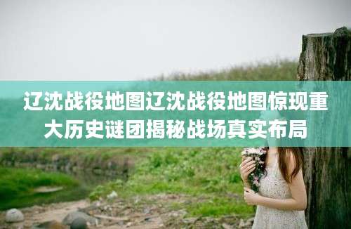 辽沈战役地图辽沈战役地图惊现重大历史谜团揭秘战场真实布局