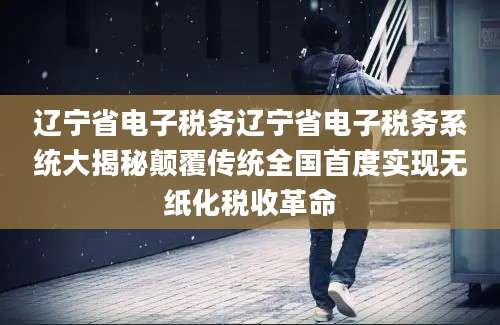辽宁省电子税务辽宁省电子税务系统大揭秘颠覆传统全国首度实现无纸化税收革命