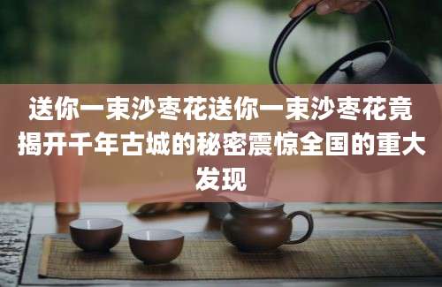 送你一束沙枣花送你一束沙枣花竟揭开千年古城的秘密震惊全国的重大发现