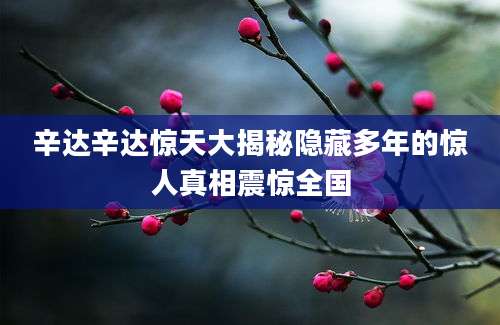 辛达辛达惊天大揭秘隐藏多年的惊人真相震惊全国