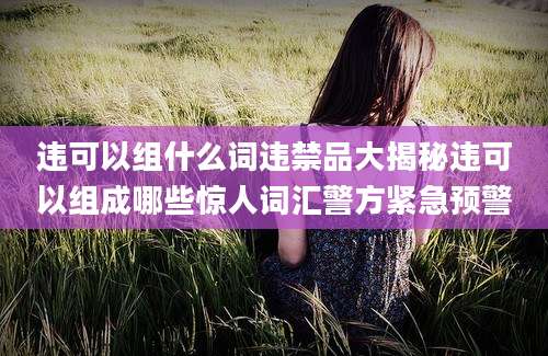 违可以组什么词违禁品大揭秘违可以组成哪些惊人词汇警方紧急预警