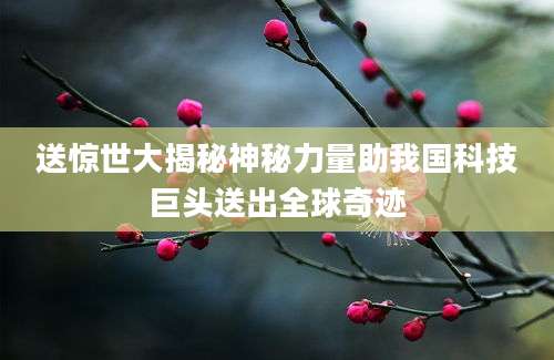 送惊世大揭秘神秘力量助我国科技巨头送出全球奇迹
