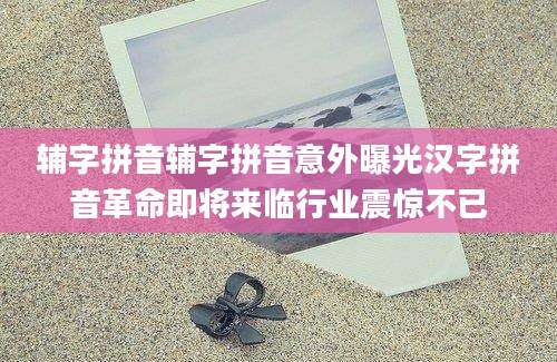 辅字拼音辅字拼音意外曝光汉字拼音革命即将来临行业震惊不已