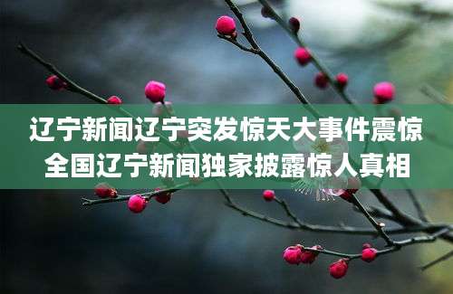 辽宁新闻辽宁突发惊天大事件震惊全国辽宁新闻独家披露惊人真相