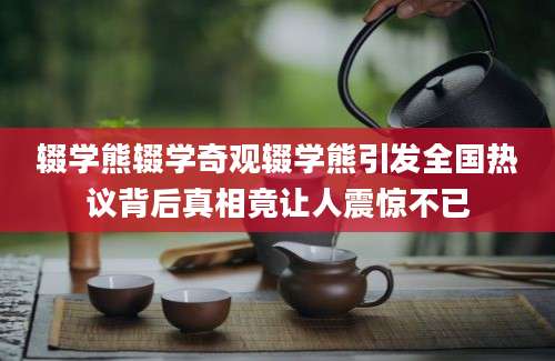 辍学熊辍学奇观辍学熊引发全国热议背后真相竟让人震惊不已