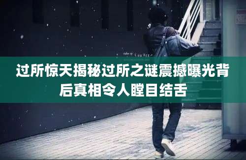 过所惊天揭秘过所之谜震撼曝光背后真相令人瞠目结舌