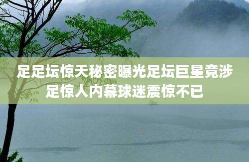 足足坛惊天秘密曝光足坛巨星竟涉足惊人内幕球迷震惊不已