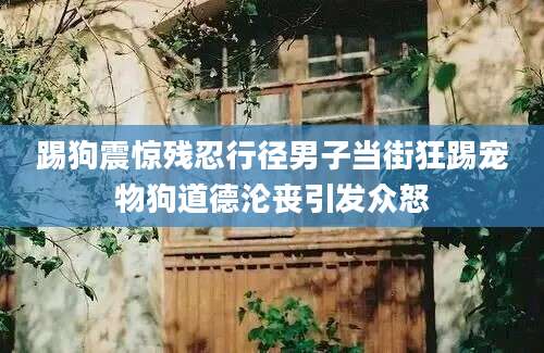 踢狗震惊残忍行径男子当街狂踢宠物狗道德沦丧引发众怒