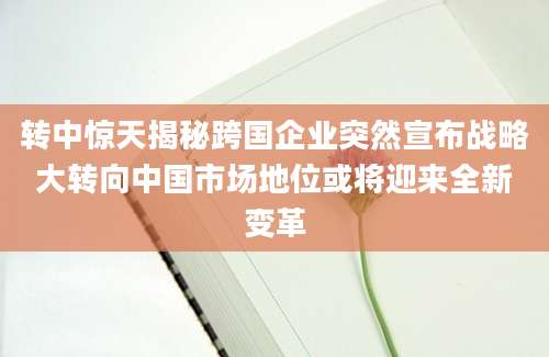 转中惊天揭秘跨国企业突然宣布战略大转向中国市场地位或将迎来全新变革