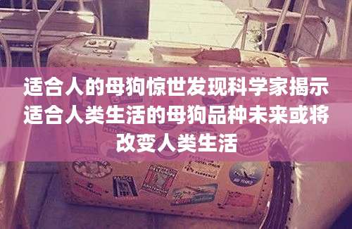 适合人的母狗惊世发现科学家揭示适合人类生活的母狗品种未来或将改变人类生活